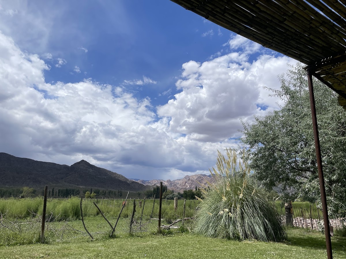 La Juanita Casa De Comidas-4